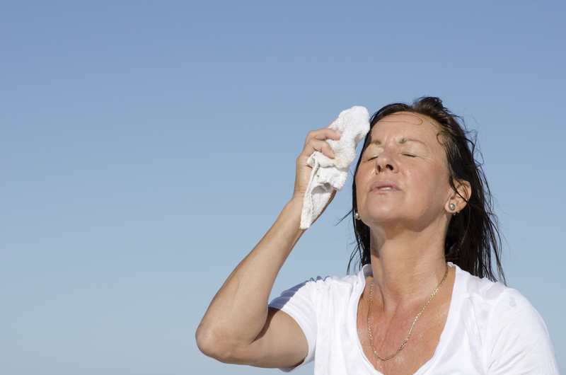 Menopause Myths Debunked: What Every Woman Needs to Know